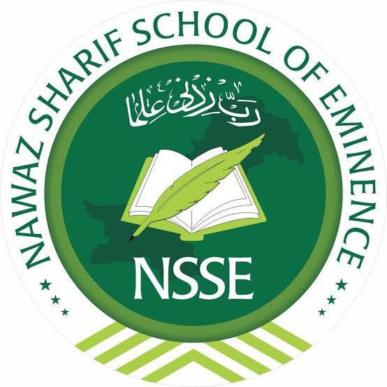 NSSE Logo